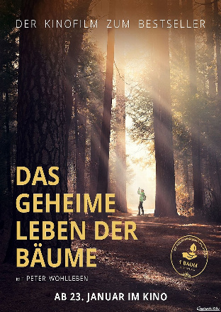 Filmposter - Das geheime Leben der Bäume im Cine k