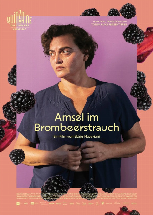 Filmplakat zu Amsel im Brombeerstrauch – Kinoprogramm Köln