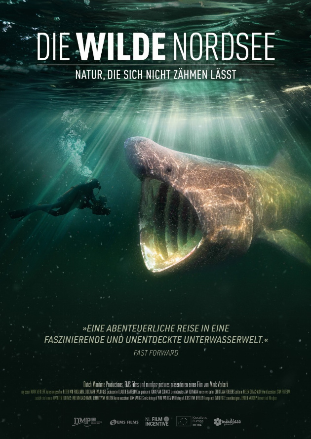 Filmplakat Die wilde Nordsee - Natur, die sich nicht zähmen lässt