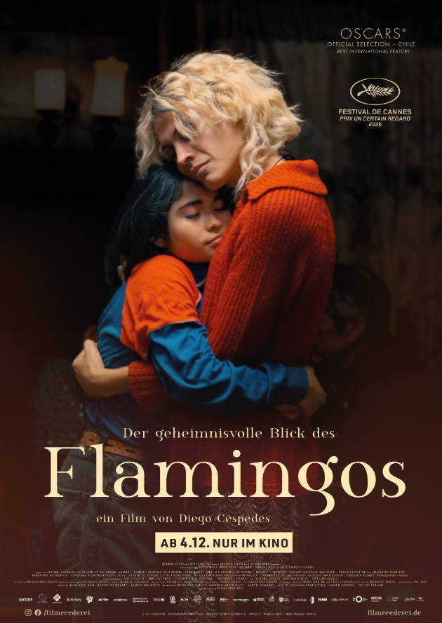 Filmplakat Der geheimnisvolle Blick des Flamingos