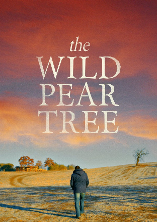 Filmplakat Der wilde Birnbaum