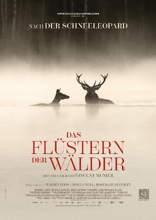 Filmposter - Das Flüstern der Wälder im Kino unterm Dach e.V.