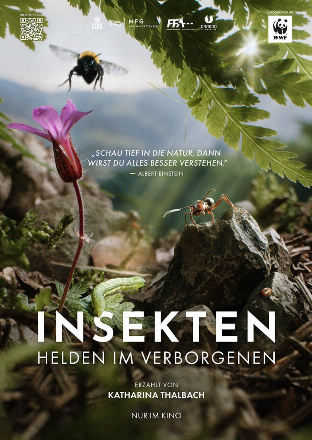 Filmposter - Insekten - Helden im Verborgenen im Kino Astoria
