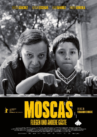 Filmposter - Moscas - Fliegen und andere Gäste im Planken Lichtspiele
